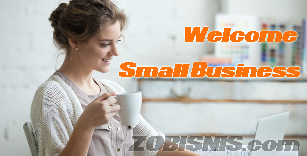 Peluang usaha dan bisnis modal kecil 2017