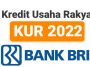 Pinjaman Kredit KUR BRI Terbaru 2022